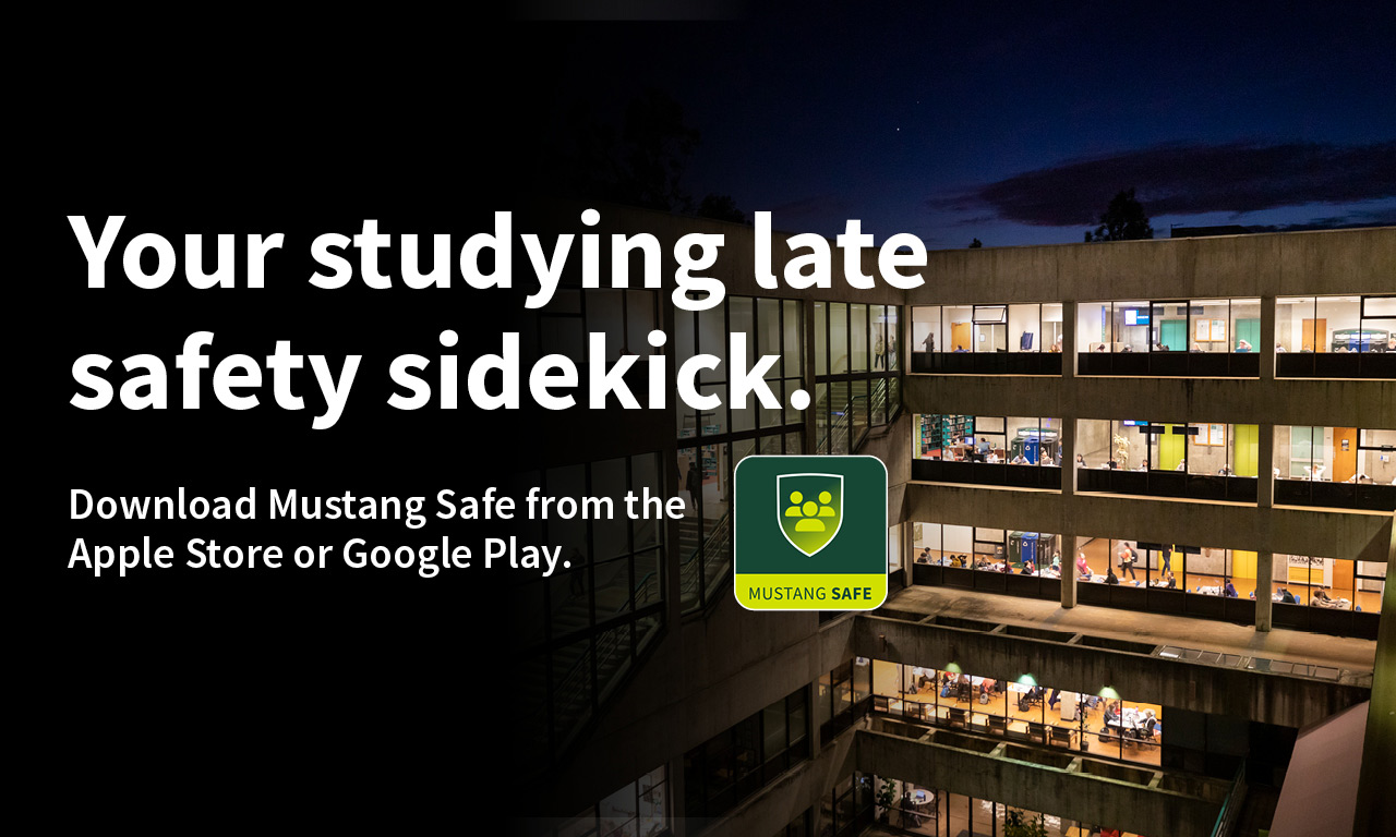 Your studying late safety sidekick - Mustang Safe